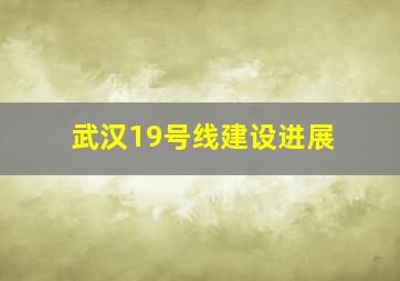 武汉19号线建设进展