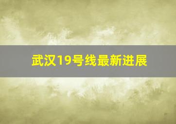 武汉19号线最新进展