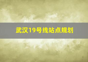 武汉19号线站点规划