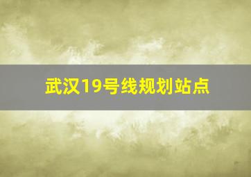 武汉19号线规划站点