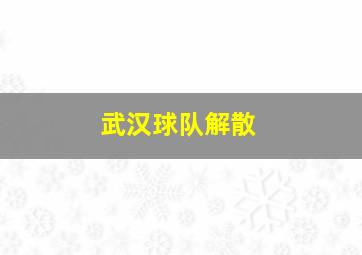 武汉球队解散