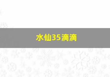 水仙35滴滴