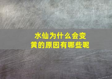 水仙为什么会变黄的原因有哪些呢