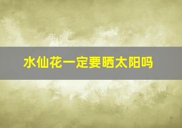 水仙花一定要晒太阳吗