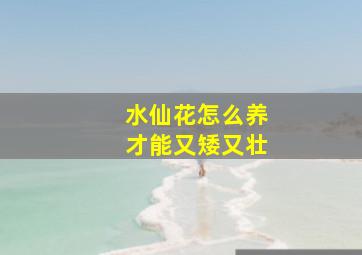 水仙花怎么养才能又矮又壮