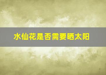 水仙花是否需要晒太阳