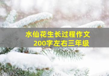 水仙花生长过程作文200字左右三年级