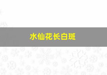 水仙花长白斑