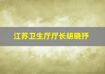 江苏卫生厅厅长胡晓抒