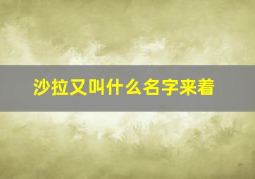 沙拉又叫什么名字来着