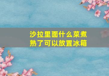 沙拉里面什么菜煮熟了可以放置冰箱