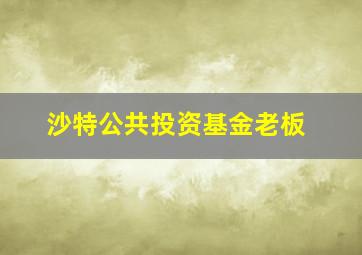 沙特公共投资基金老板