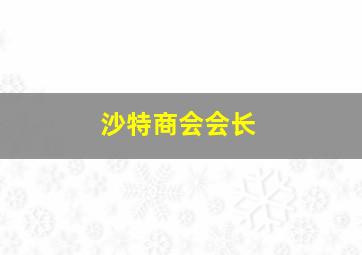 沙特商会会长