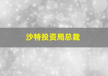 沙特投资局总裁