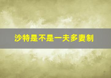 沙特是不是一夫多妻制