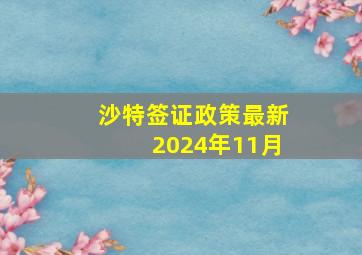 沙特签证政策最新2024年11月