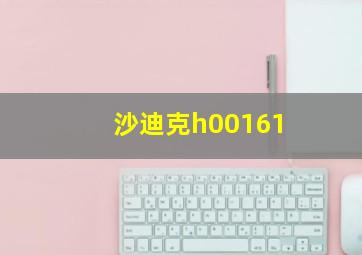 沙迪克h00161