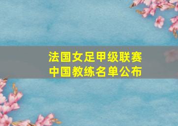 法国女足甲级联赛中国教练名单公布