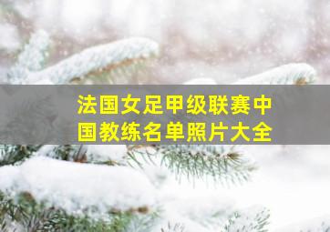 法国女足甲级联赛中国教练名单照片大全