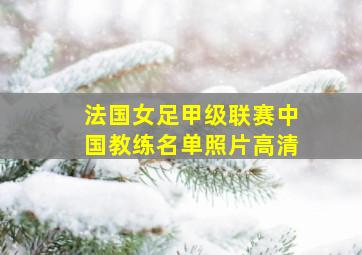 法国女足甲级联赛中国教练名单照片高清