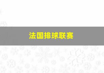 法国排球联赛