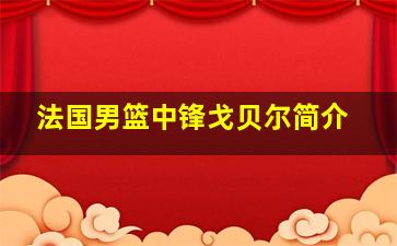 法国男篮中锋戈贝尔简介