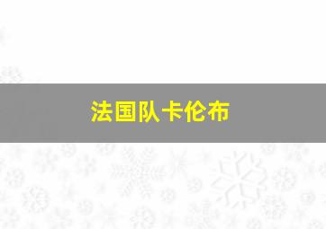 法国队卡伦布