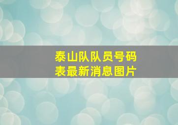 泰山队队员号码表最新消息图片