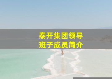 泰开集团领导班子成员简介