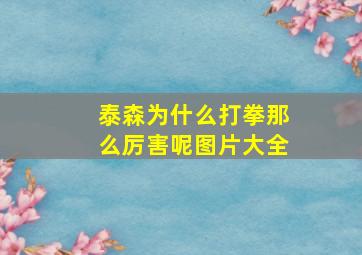 泰森为什么打拳那么厉害呢图片大全