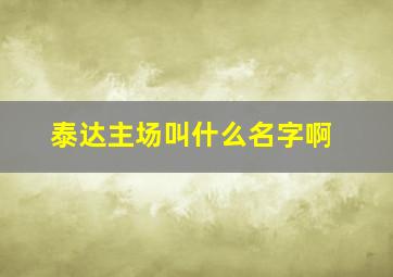 泰达主场叫什么名字啊