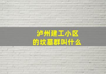 泸州建工小区的坟墓群叫什么