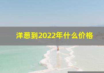 洋葱到2022年什么价格