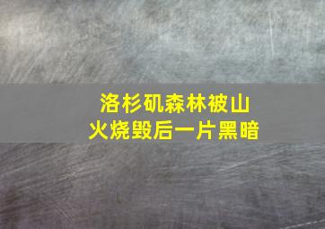 洛杉矶森林被山火烧毁后一片黑暗