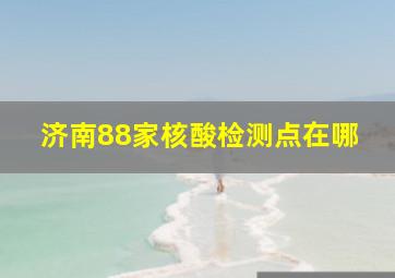 济南88家核酸检测点在哪