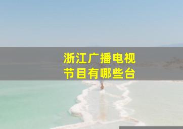 浙江广播电视节目有哪些台