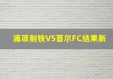 浦项制铁VS首尔FC结果新