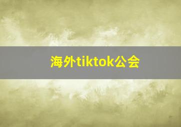 海外tiktok公会