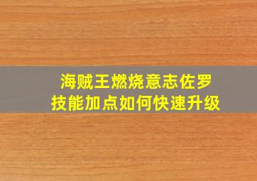 海贼王燃烧意志佐罗技能加点如何快速升级