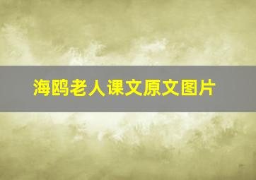 海鸥老人课文原文图片