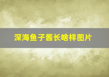 深海鱼子酱长啥样图片