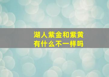 湖人紫金和紫黄有什么不一样吗