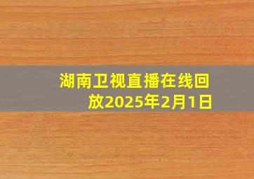 湖南卫视直播在线回放2025年2月1日