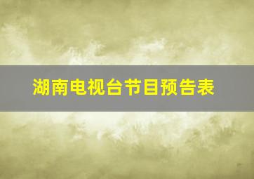 湖南电视台节目预告表