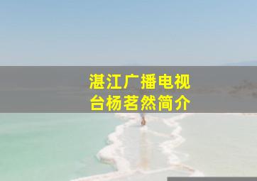 湛江广播电视台杨茗然简介