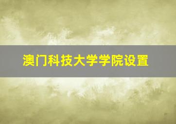 澳门科技大学学院设置