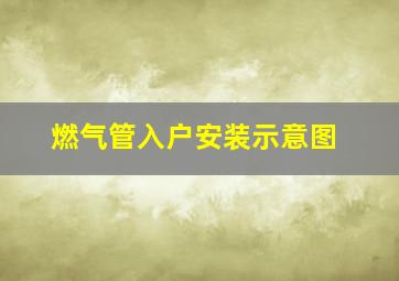 燃气管入户安装示意图