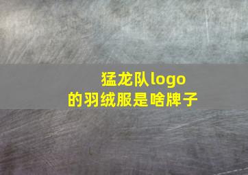 猛龙队logo的羽绒服是啥牌子