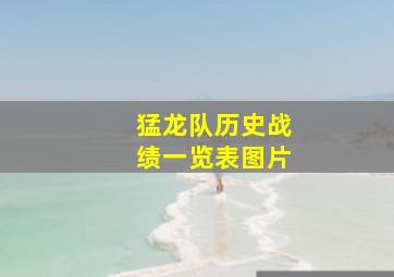 猛龙队历史战绩一览表图片