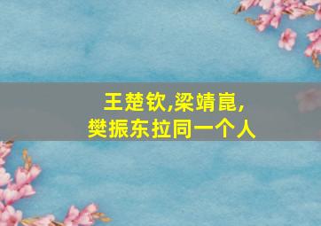 王楚钦,梁靖崑,樊振东拉同一个人